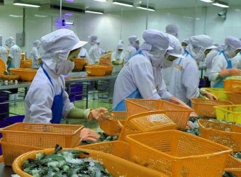 Cơ hội, thách thức của ngành thủy sản Việt Nam năm 2014